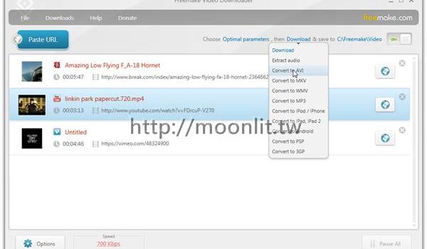 網路影片下載器 Free Video Downloader