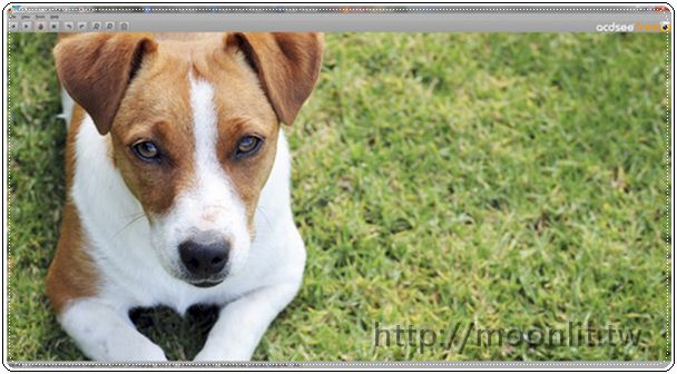 acdsee 免費版下載 最經典的看圖軟體