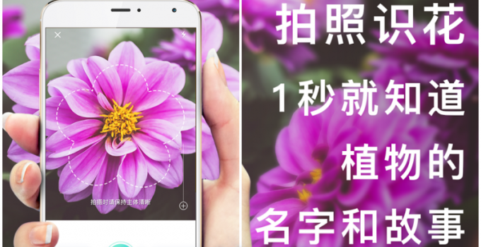 識花神器「形色」- 用拍照查詢植物種類